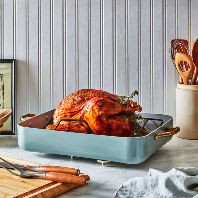 turkey in roasting pan