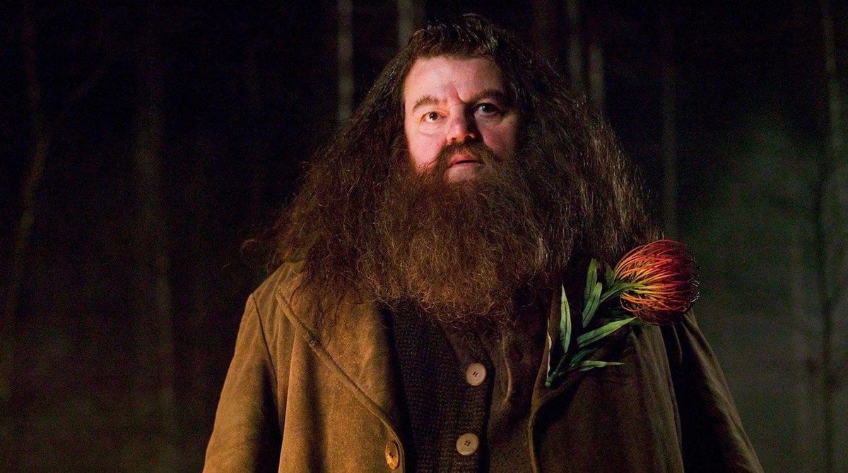 Goodbye to Robbie Coltrane: The actors of Harry Potter and Hollywood say goodbye to the actor