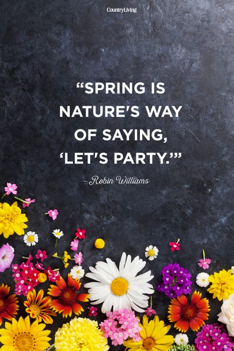 Weather App with Funny Quotes 25 Happy Spring Quotes Motivational Sayings About Spring