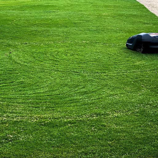 These Robot Lawnmowers Will Cut the Grass For You