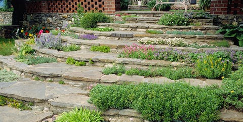 6 Best Rock Garden Ideas Yard Landscaping With Rocks