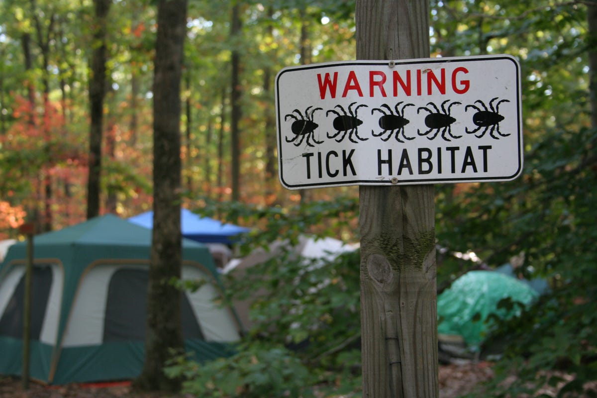 Rocky Mountain Spotted Fever Is The Deadly Tick Borne Disease On The Rise