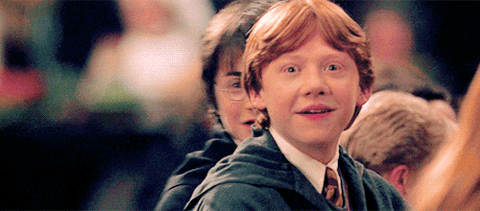 Harry Potter Harry Potter