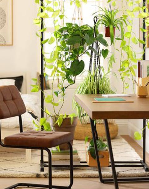 Room Divider Ideas - DIY Plant Room Divider room divider ideas diy plant room divider
