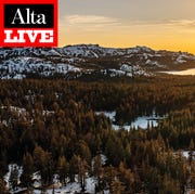 Alta Live: Surviving the Sierra alta live surviving the sierra