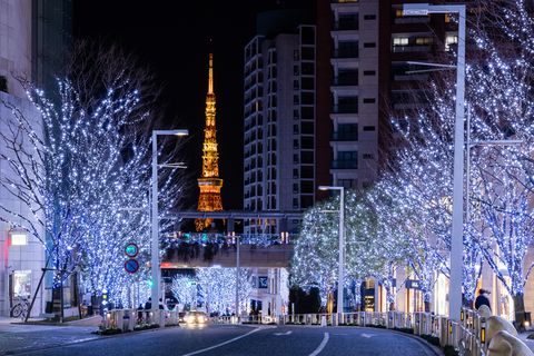 は希望に満ちた光 東京近郊で見逃せないクリスマスイルミネーション