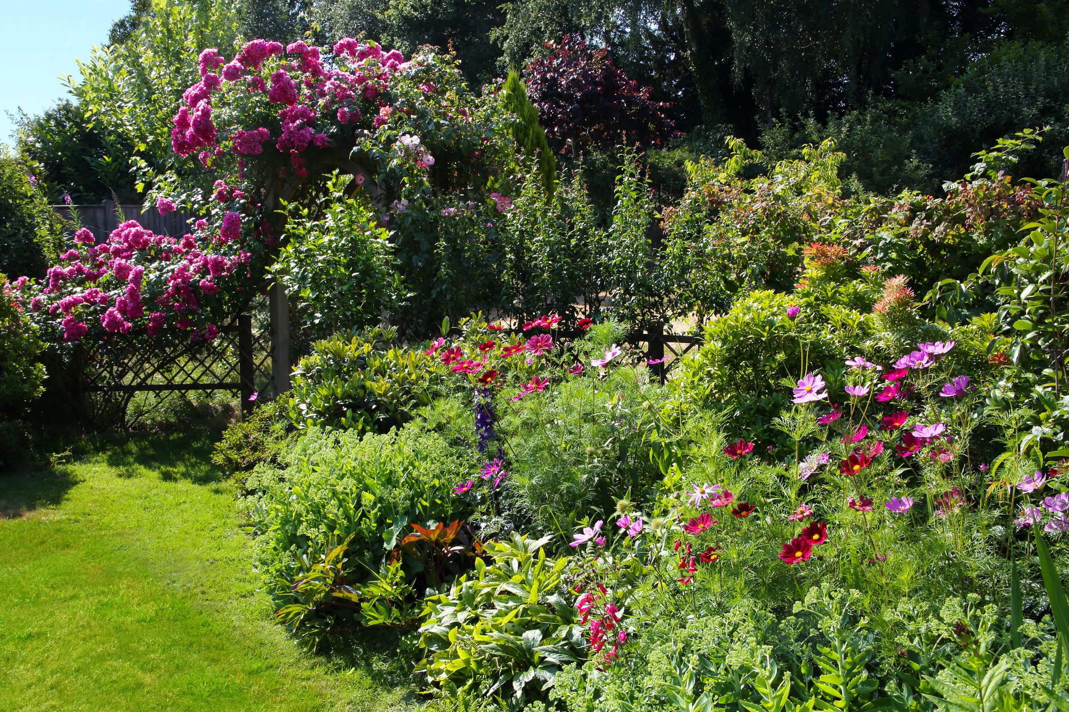 green landscaping bushes