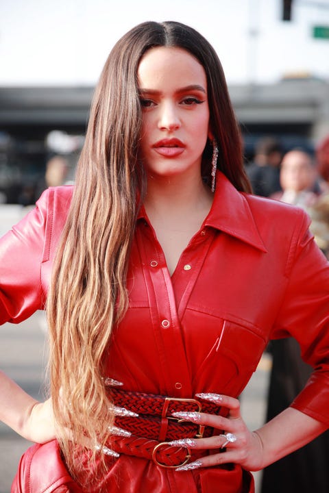 62nd Annual GRAMMY Awards – Red Carpet