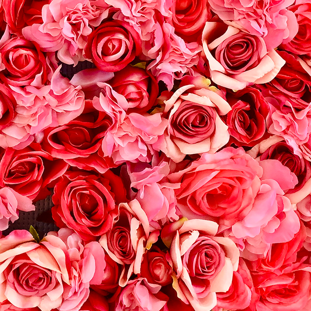 Featured image of post Rose Bakground / Use them in commercial designs under lifetime, perpetual & worldwide rights.