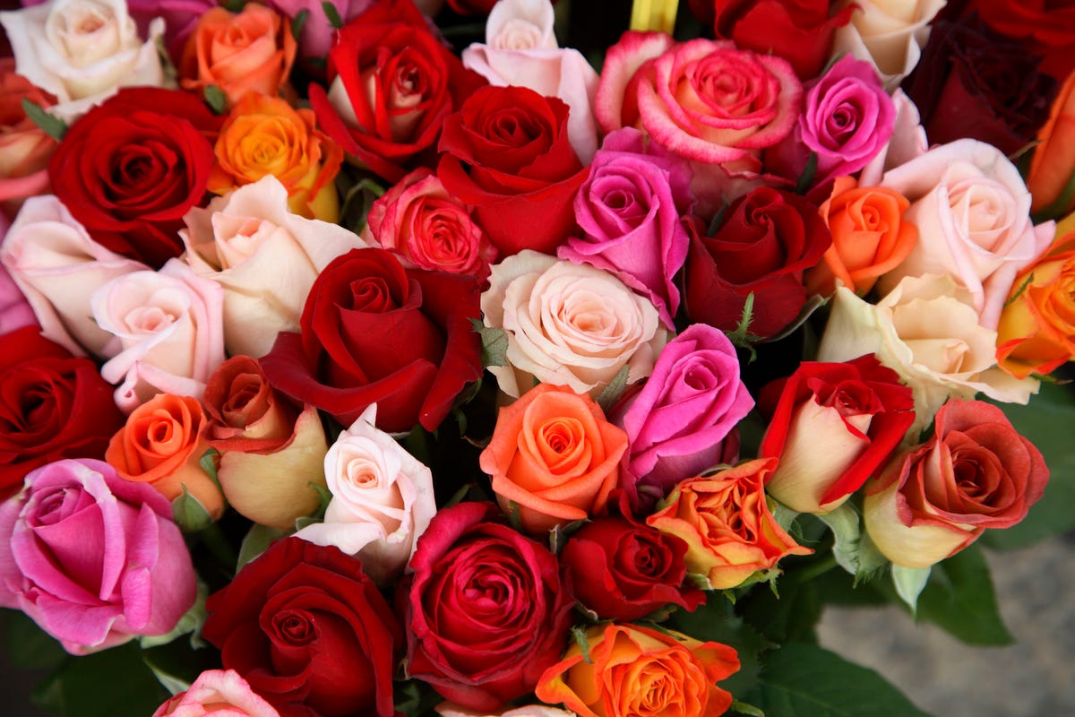 Costco Is Selling 50 Roses For 40 Where To Shop Bouquets Of Roses