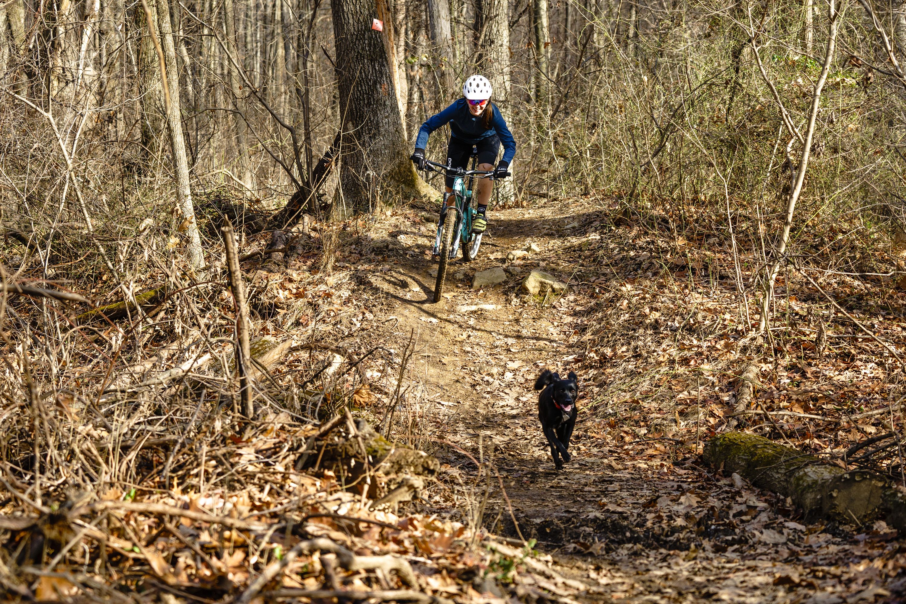 best bike riding trails near me