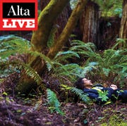 Alta Live: Phil Ross, the Mushroom Man alta live phil ross, the mushroom man