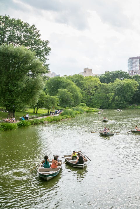 Row boats on The Lake in Central Park Row boats on The Lake in Central Park