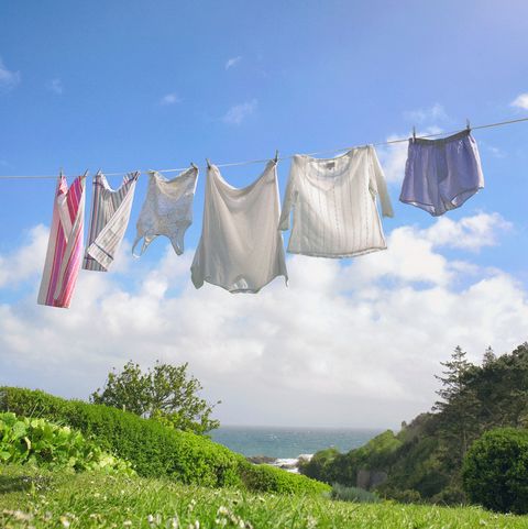 Row of fresh laundry on clothes line in coastal garden