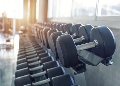 rows of dumbbells in the gym
