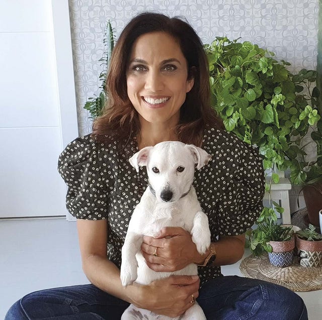 Podcast de perros y gatos de Toni Acosta podcast de perros y gatos de toni acosta