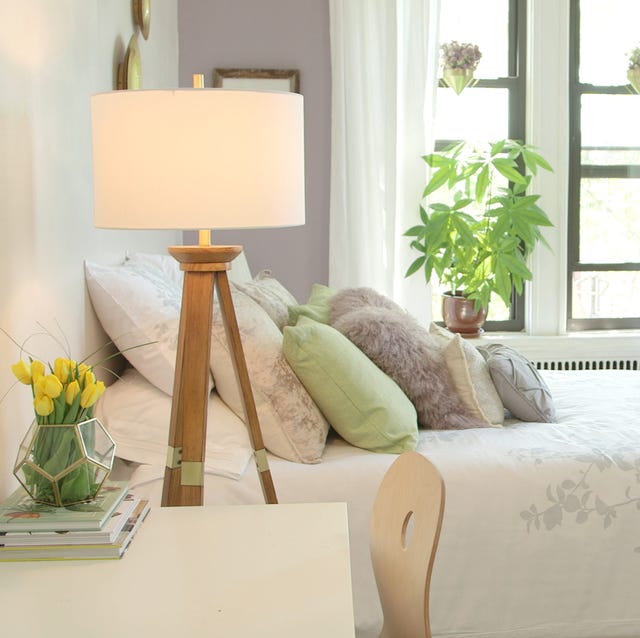 Best Pet Friendly Decorations For Apartments How To Decorate Your Ready Set Pet