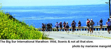 Downhill All The Way Runner S World