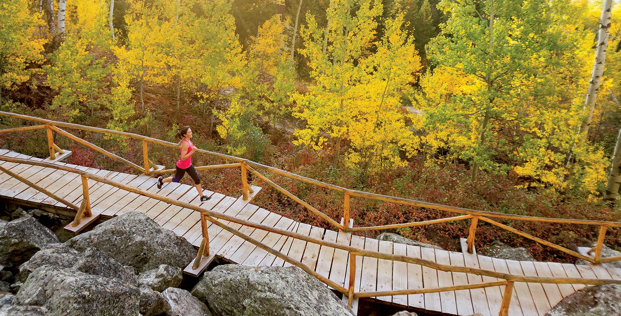 These Training Plans Will Help You Crush Your Running Goals