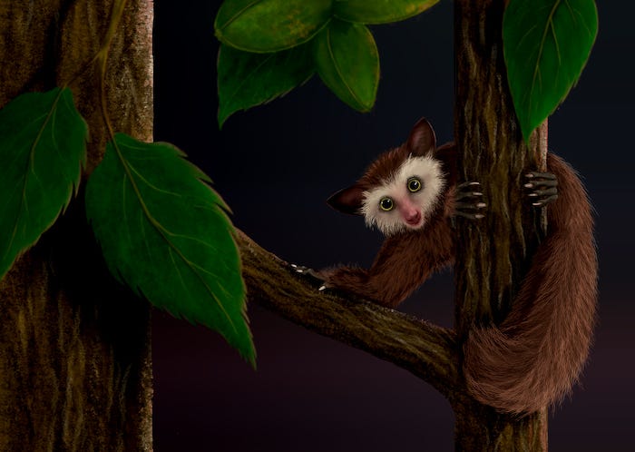 New Clues Reveal the Origins of 'Little Cat Man,' America's Last Primate Before Humans