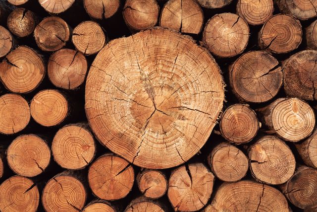 rustic weathered wood logs