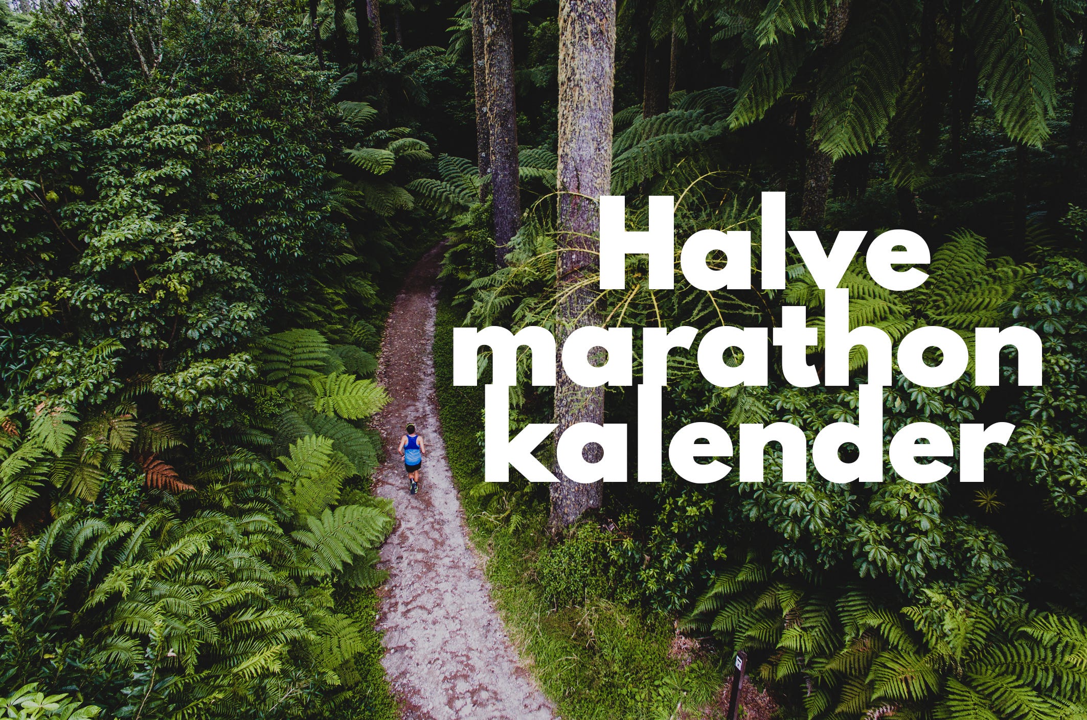 Halve Marathon Kalender 2019