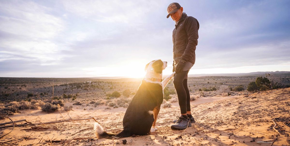 The Navajo Ultrarunner and the Irrepressible Border Collie Pup Who Saved Him