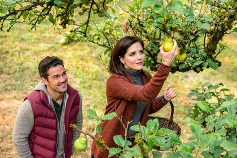 ryan paevey Hallmark movies harvest love