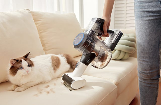 This Cordless Vacuum Kept My Brownstone Spotless—And Now It’s $100 Off