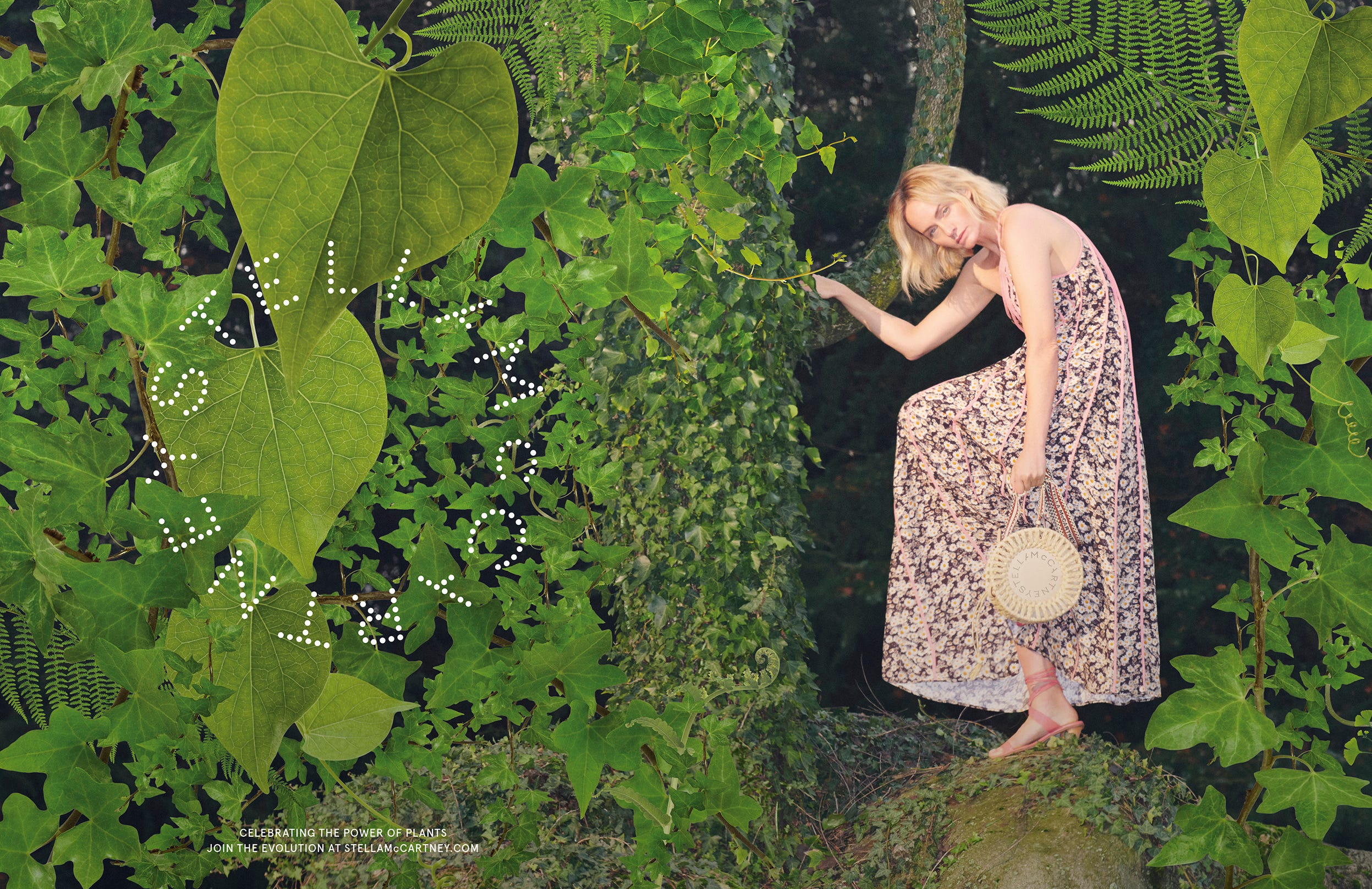 s20-layout-campaign-master-layout-tree-rgb-144dpi-1580324243.jpg