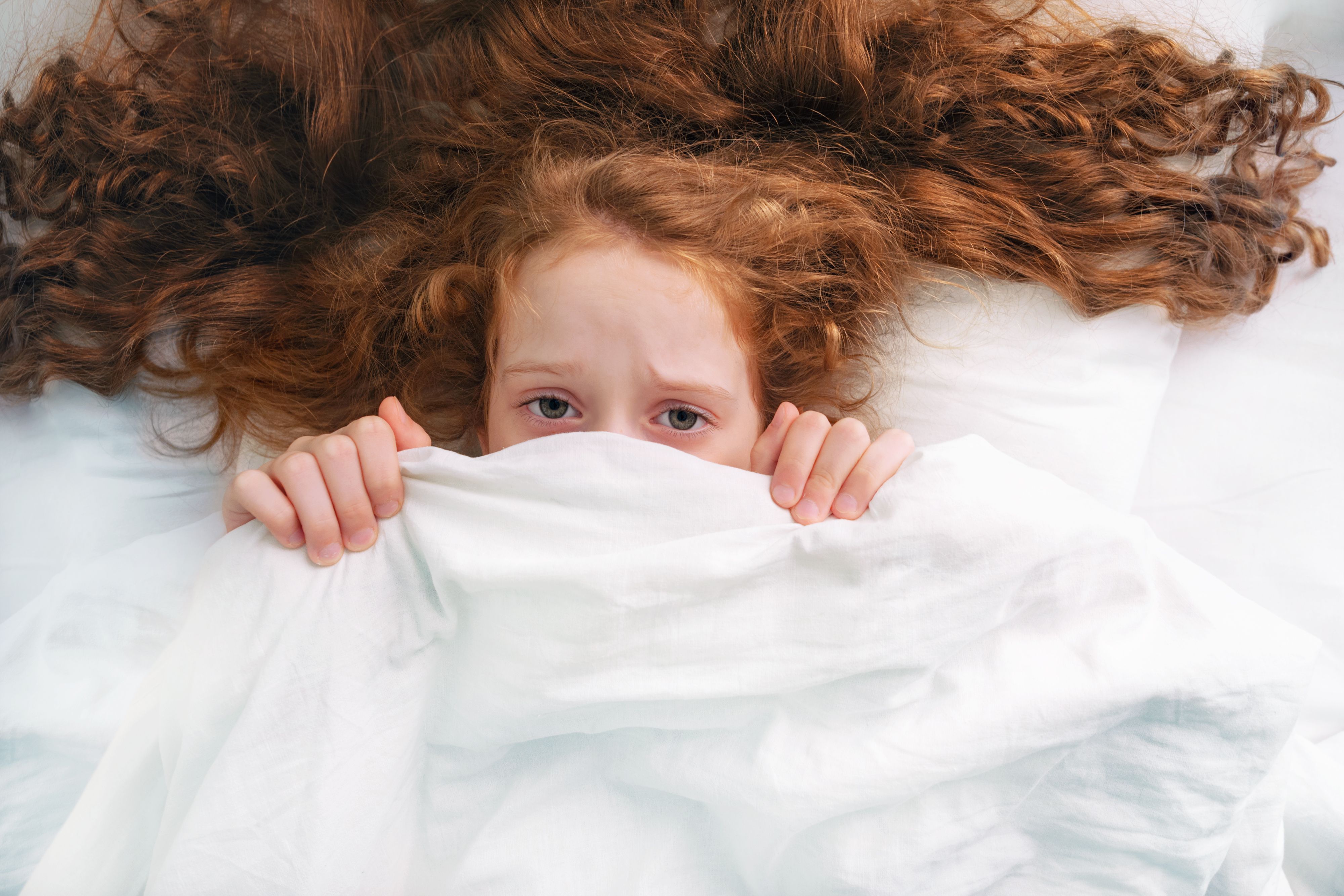 睡眠のプロが指南 悪夢 怖い夢 を見てしまう原因と対処法