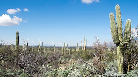 The 13 Best Rides in National Parks | Bicycling