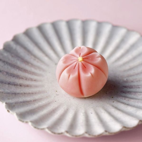 和洋の最旬桜菓子
