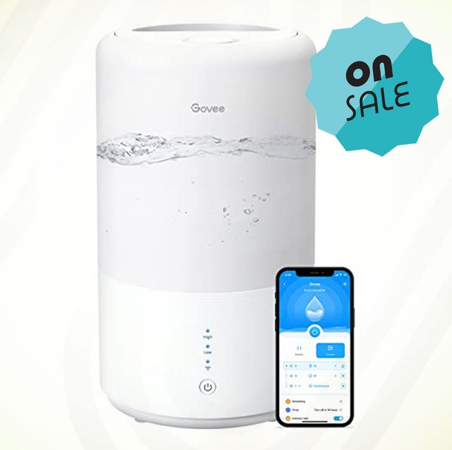 govee humidifier