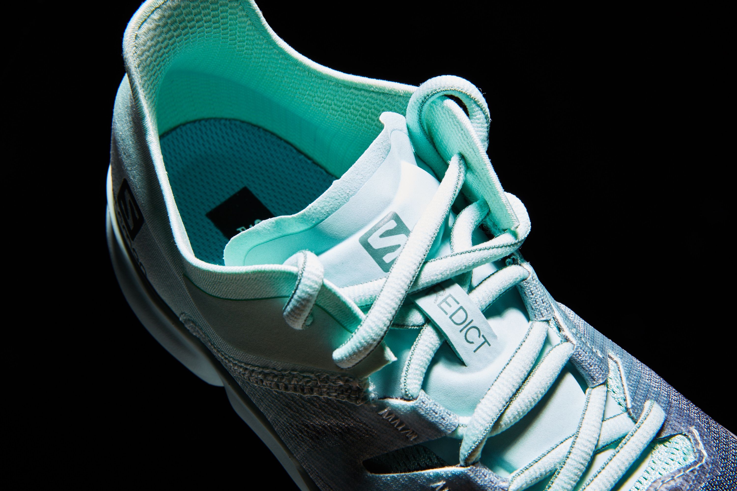 salomon predict running shoes