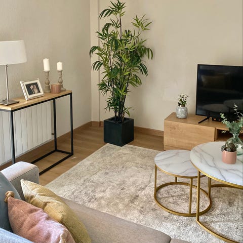 Salón moderno decorado en tonos neutros con una palmera de interior salón moderno decorado en tonos neutros con una palmera de interior