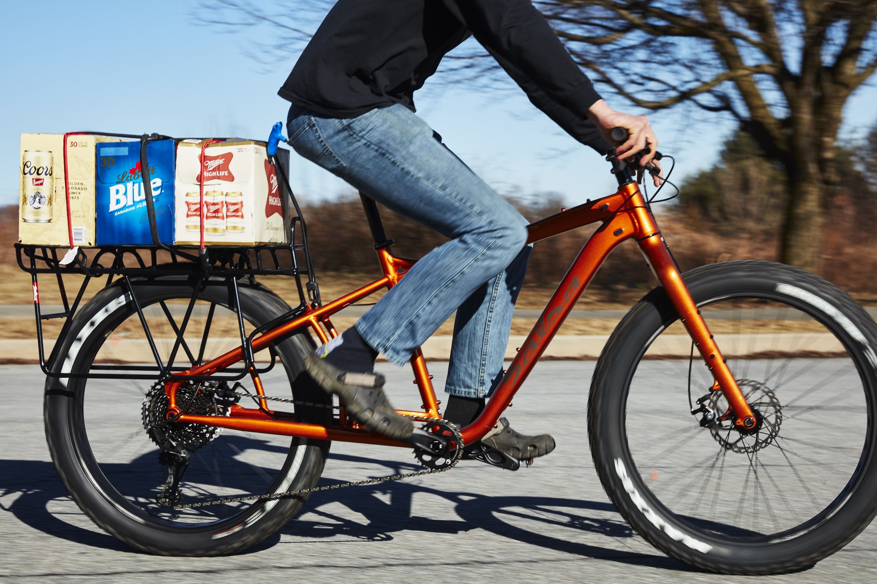 salsa cargo bike