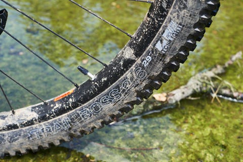 Salsa Timberjack