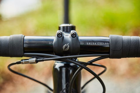 Salsa Warbird