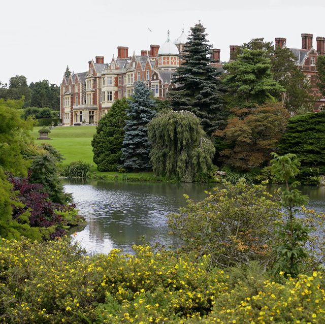 king charles to make eco changes to sandringham gardens for new project