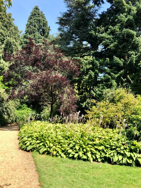 sandringham, united kingdom july 21, 2018 sandringham estate gardens