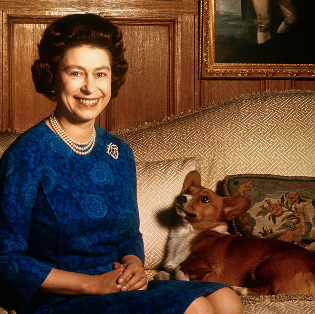 エリザベス女王の愛犬コーギーにまつわる愉快な事実 ハーパーズ バザー Harper S Bazaar 公式