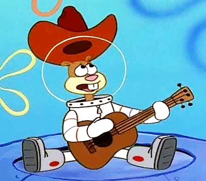 string instruments quiz string instruments quiz