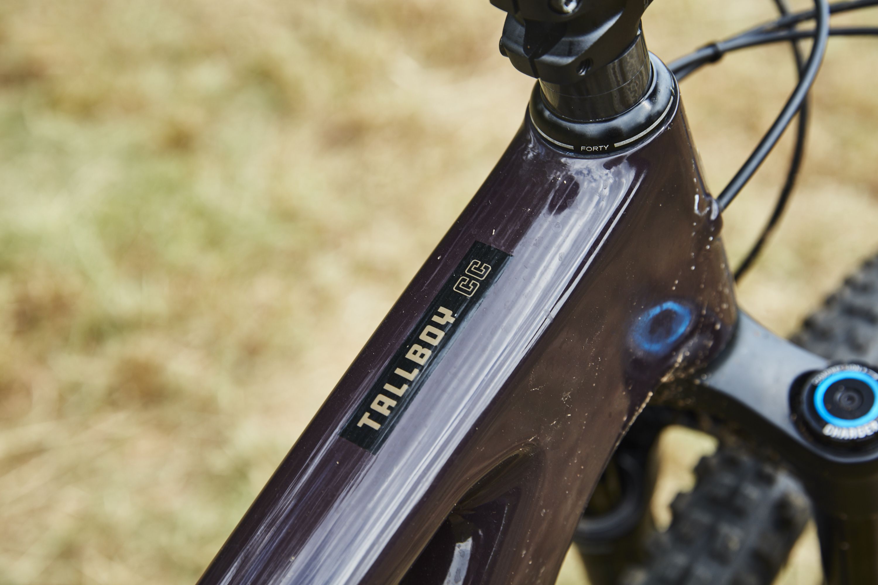 tallboy 4 review