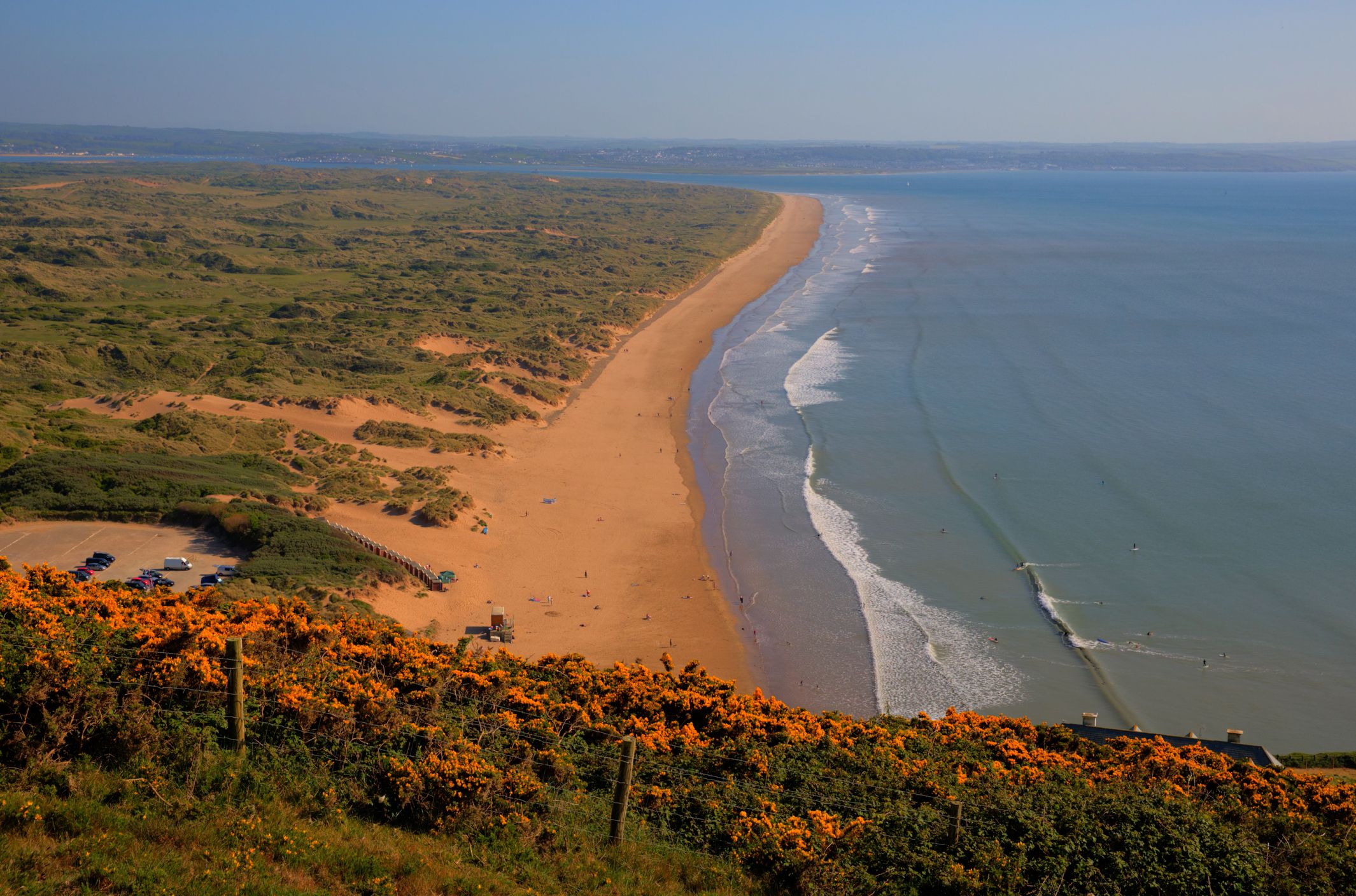 what beaches in england allow dogs