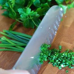 scallion substitute chives