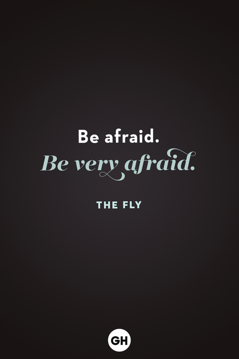 scary quotes the fly