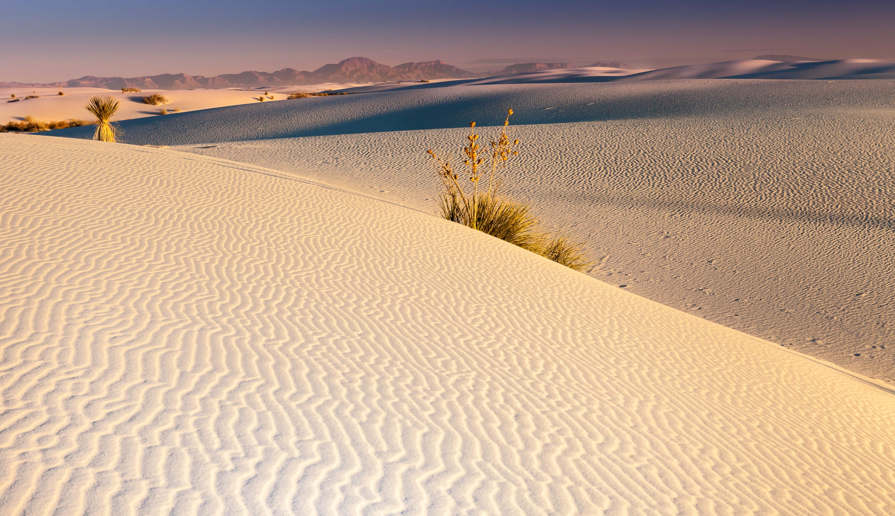 A Desert Dig Has Revealed a Stunning Ancient Campsite on an Air Force Base