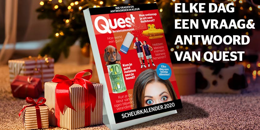 De Quest-scheurkalender: hét cadeau voor in de schoen of onder de kerstboom