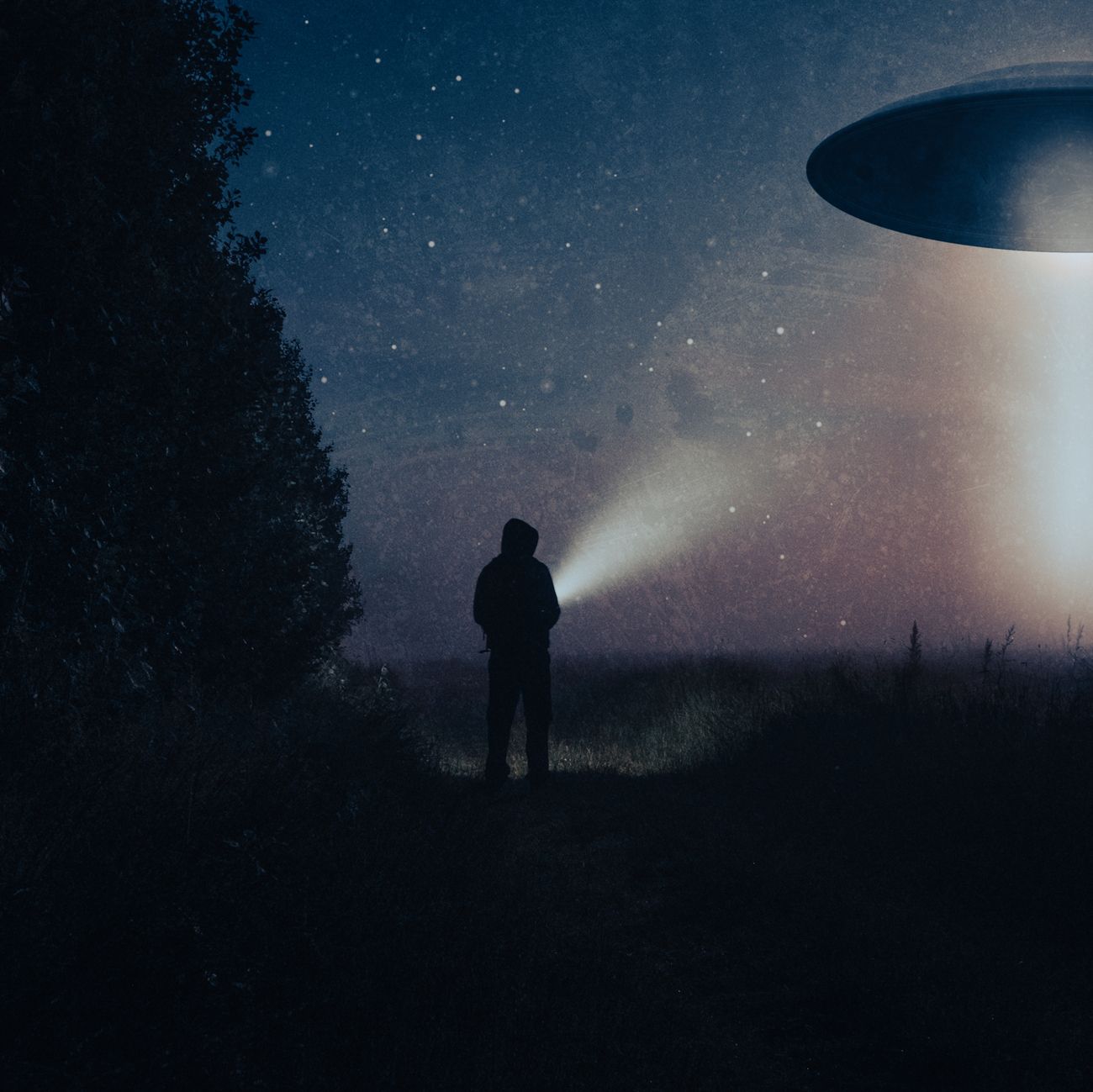 This Stanford Professor With CIA Ties Says Aliens Are '100 Percent' ﻿Already Here
